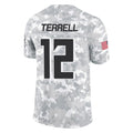 Qdoa A.Falcons #12 Avieon Terrell Player Arctic Camo Salute to Service Limited Stitched Jerseys